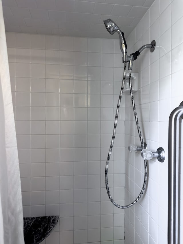 interior details with curtained shower