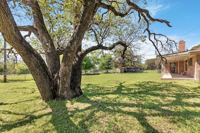 view of yard featuring a patio area