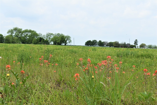 Listing photo 3 for 8308 County Road 205, Grandview TX 76050