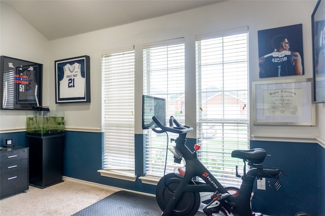 exercise room with vaulted ceiling and carpet