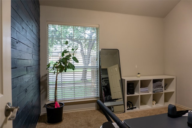 exercise area with carpet flooring and plenty of natural light