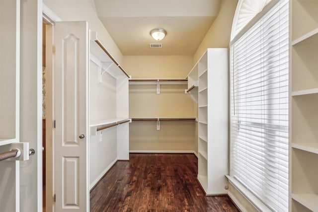 walk in closet featuring dark hardwood / wood-style floors