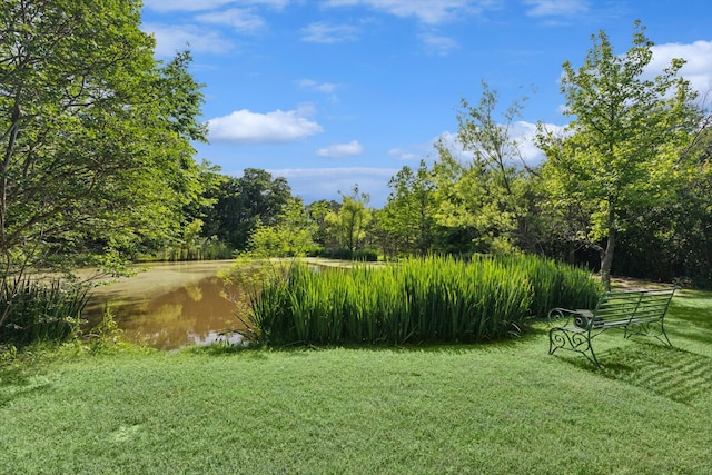 view of yard with a water view