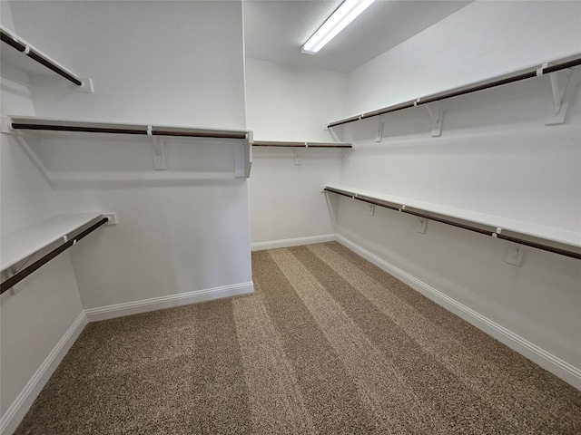 spacious closet with carpet