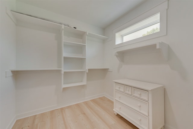 walk in closet with light hardwood / wood-style flooring