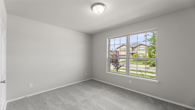 empty room featuring carpet and a wealth of natural light