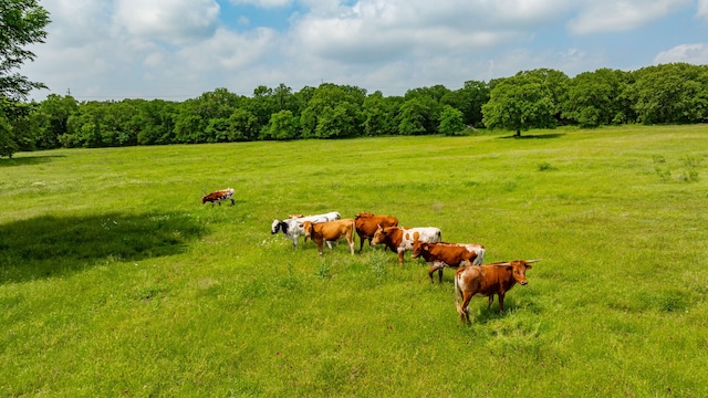 view of yard with a rural view