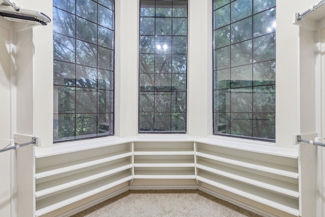 walk in closet featuring carpet flooring