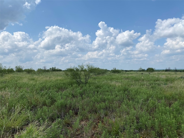 75 Cypress Point Dr, Graford TX, 76449 land for sale