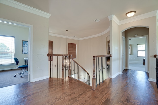 corridor featuring dark wood-type flooring and crown molding