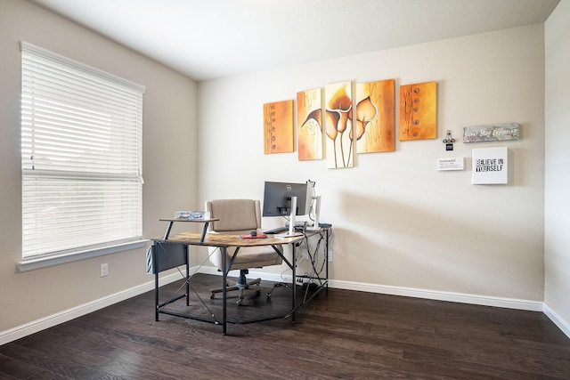 office space featuring a healthy amount of sunlight, baseboards, and wood finished floors