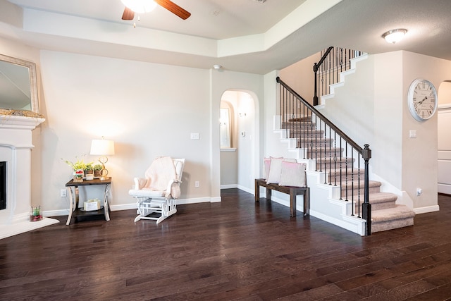 living area featuring a raised ceiling, ceiling fan, and hardwood / wood-style floors