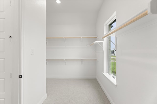 walk in closet with carpet floors