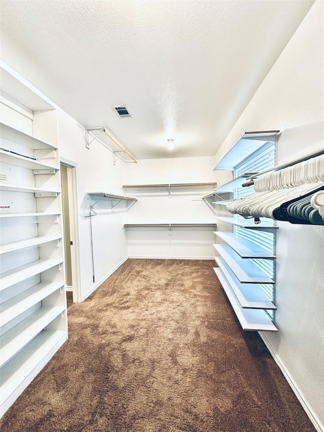 spacious closet featuring carpet flooring