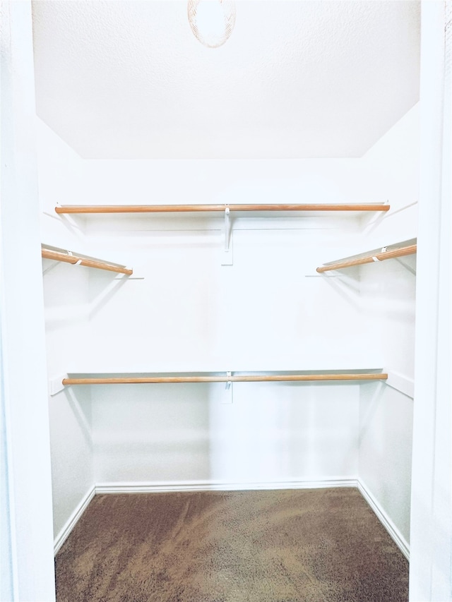 walk in closet featuring carpet flooring