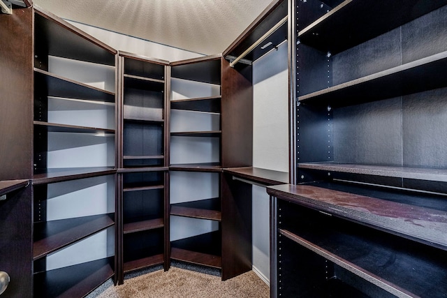 spacious closet with carpet flooring