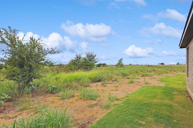 view of yard with a rural view