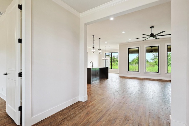 interior space with dark hardwood / wood-style flooring, sink, a wealth of natural light, and ornamental molding