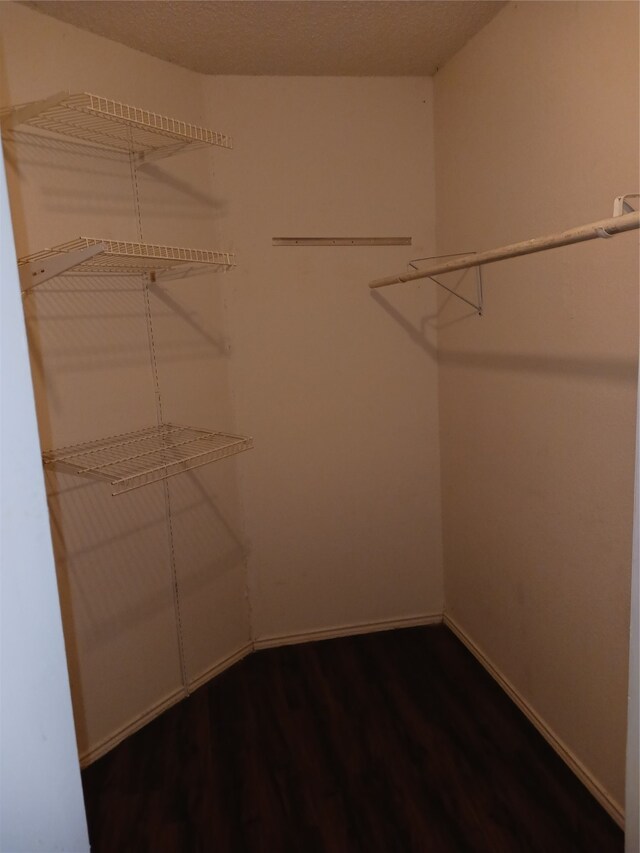 spacious closet with wood-type flooring