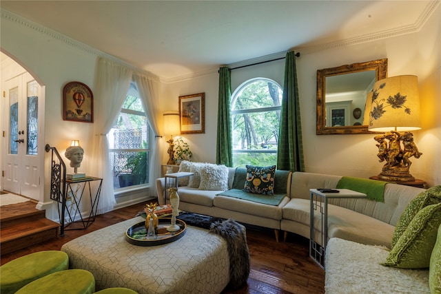 living room with crown molding, dark hardwood / wood-style floors, and a healthy amount of sunlight