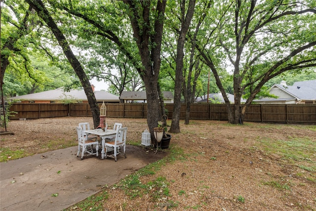 view of yard featuring a patio