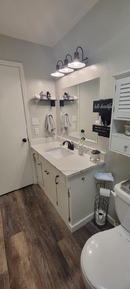 bathroom with vanity, toilet, and wood-type flooring