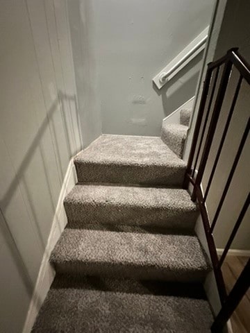 staircase with carpet