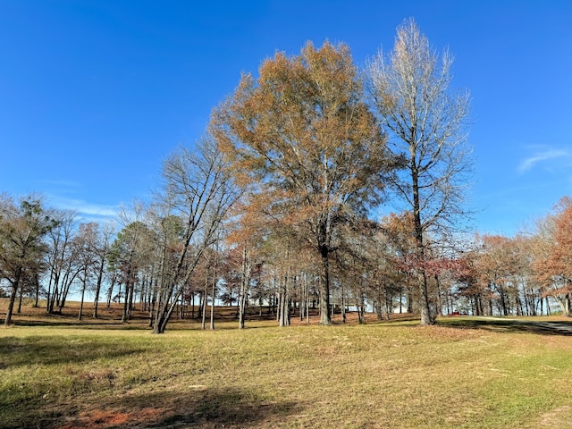 view of property's community with a yard