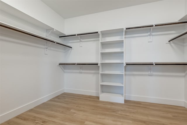 walk in closet with light wood-type flooring