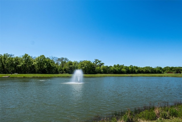 property view of water