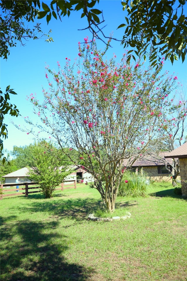 view of yard