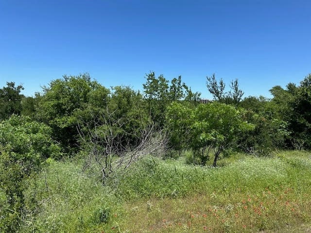 Listing photo 2 for LOT623 Caprock Ct, Graford TX 76449