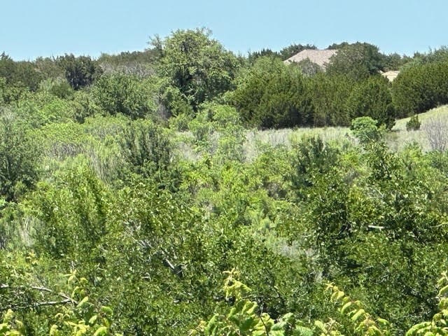 Listing photo 3 for LOT623 Caprock Ct, Graford TX 76449