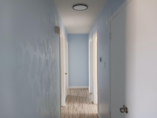 hallway featuring light hardwood / wood-style flooring