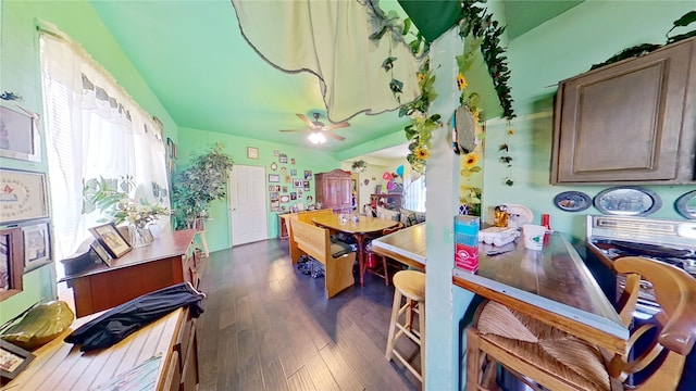 kitchen featuring ceiling fan and dark wood-type flooring