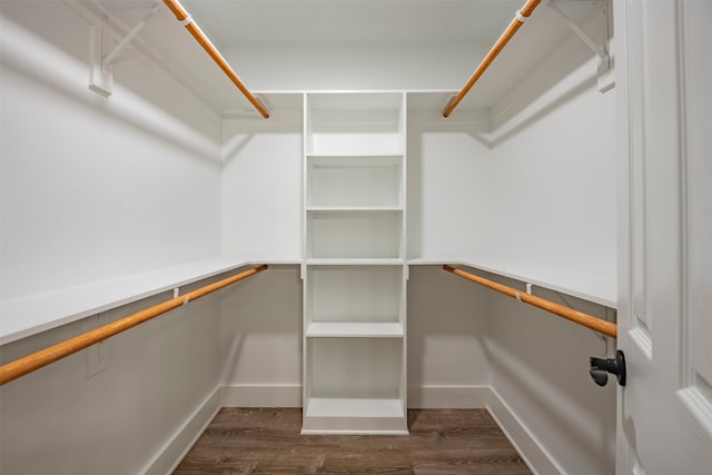 walk in closet featuring dark wood-type flooring