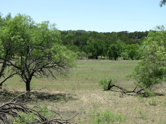 Listing photo 3 for LOT54 Buffalo Creek Dr, Evant TX 76525