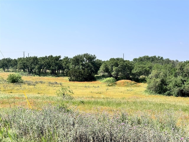 Listing photo 2 for TBDLOT991, 992 Long View Dr, Brownwood TX 76801