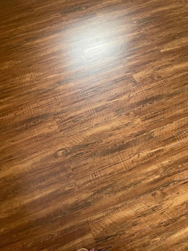 details with hardwood / wood-style floors