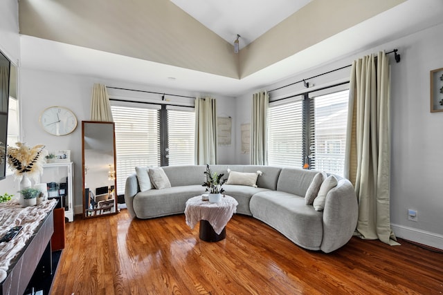 living room with hardwood / wood-style flooring and plenty of natural light