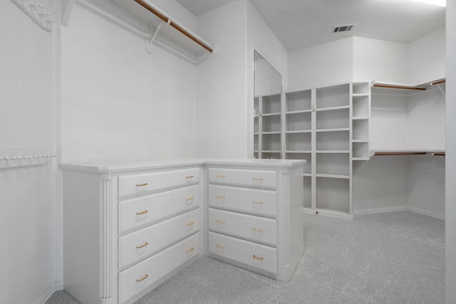 spacious closet with light colored carpet