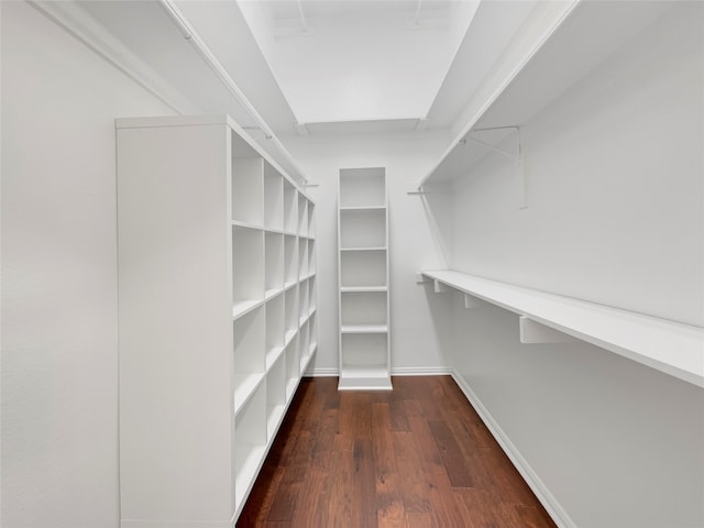 walk in closet with dark hardwood / wood-style floors