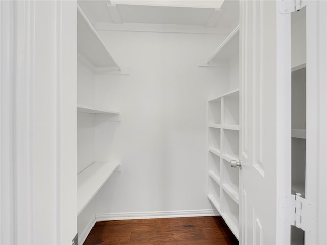 walk in closet featuring dark hardwood / wood-style flooring