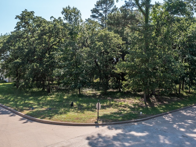 Listing photo 2 for 160 S Eagles Bluff Blvd, Bullard TX 75757