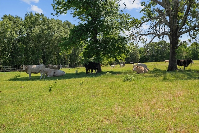 view of yard with a rural view