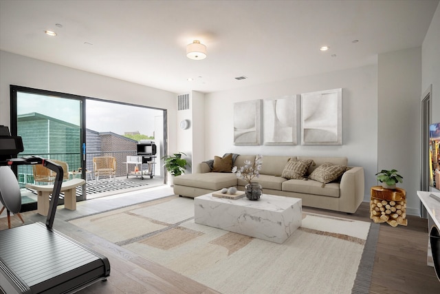 living room featuring wood-type flooring