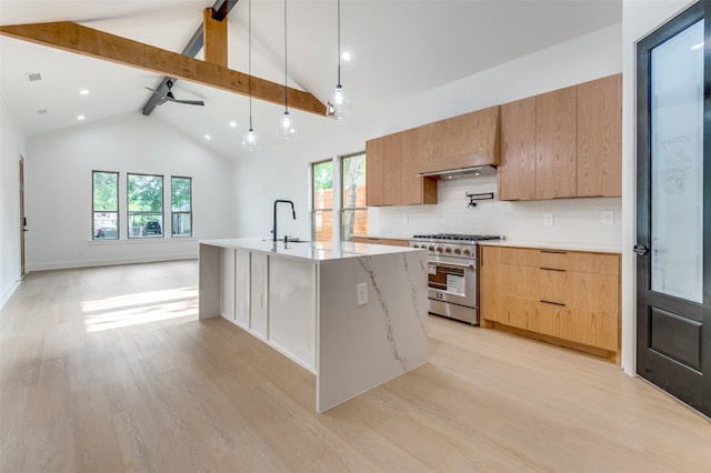 kitchen with hanging light fixtures, plenty of natural light, light wood-type flooring, and stainless steel range