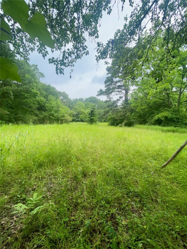 2966 Willis St, Shreveport LA, 71107 land for sale