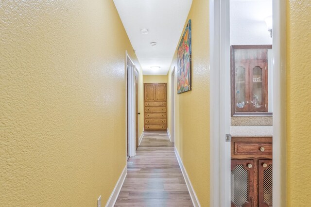 hall featuring wood-type flooring