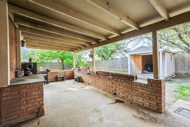 view of patio / terrace with a shed